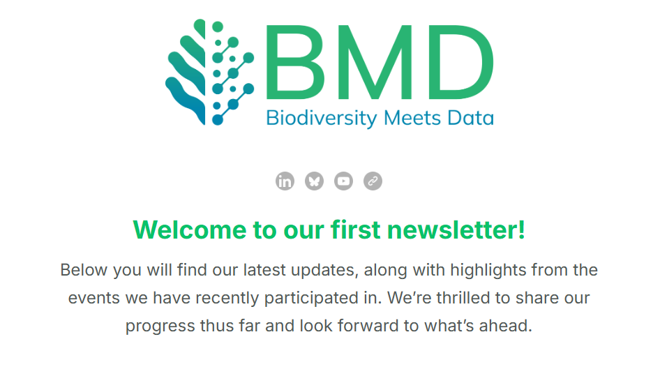 BMD’s first newsletter is out