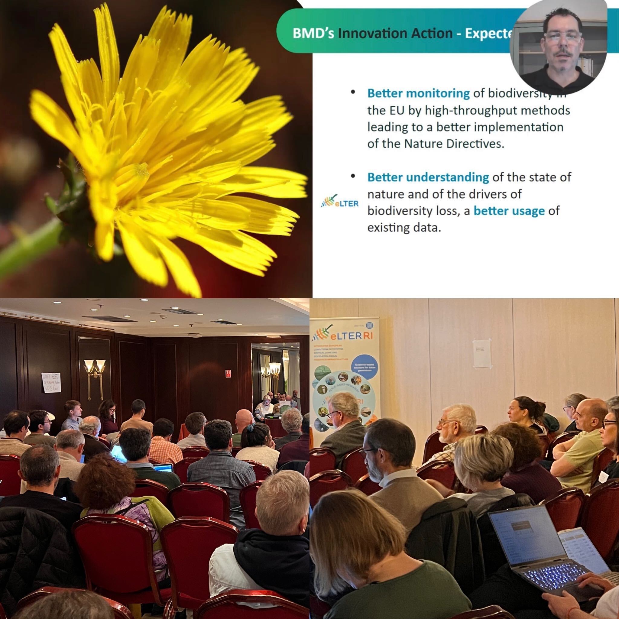 Connecting long-term data and biodiversity monitoring